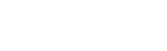 Tecnimex Group